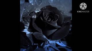 Backrooms Level 1800 "Black Rose"