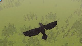 Wildcraft - gay eagles 🏳️‍🌈🇺🇸🦅🦅