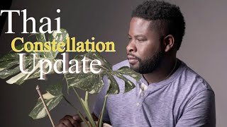 Monstera Thai Constellation Update and Care.