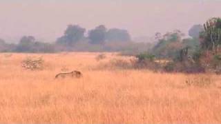 Queen Elisabeth National Park