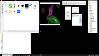 5 Visual check of data -  2D histograms with ROIs (HD)