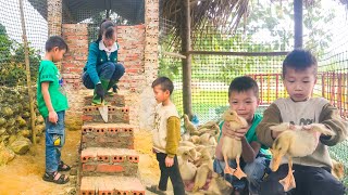 Fertilizing rice. Taking care of ducklings. The peaceful daily work of Vietnamese women.