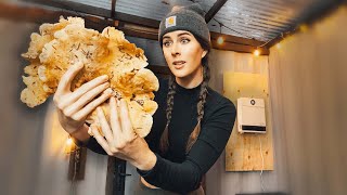 PROCESSING HUGE MUSHROOMS while STAYING WARM | DREO Electric Heater #food #wilderness