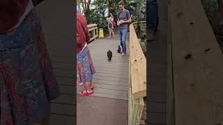 Philadelphia Zoo Rare and Endangered Animal Conservation Exhibits