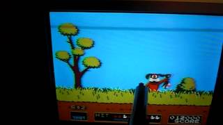 Playing Duck Hunt