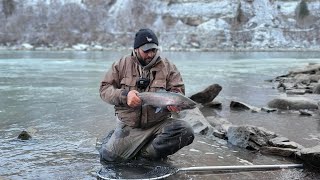 Niagara River Steelhead Fishing 2025