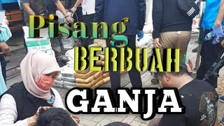 Ganja dalam truk muatan pisang peryergapan truk bermuatan ganja