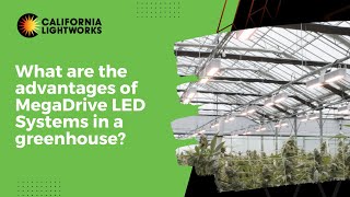 What are the advantages of MegaDrive LED Systems in a greenhouse?
