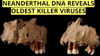 Oldest Human Viruses EVER Discovered In Ancient Neanderthal DNA