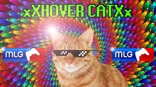xXHOVER CATXx