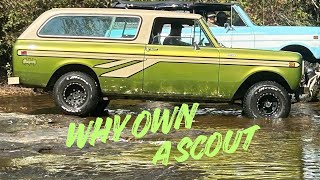 WHY OWN A SCOUT