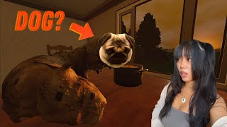 I Was Hired to Watch a "Dog" - Petsitting