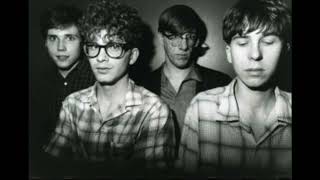 Behind the Song: "Everybody's Got Something to Hide" Beatles cover by The Feelies -feat Glenn & Bill