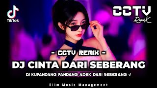 DJ T-Lee™ - DJ FUNKOT TERBARU‼️|| DJ KUPANDANG PANDANG ADEK DARI SEBERANG V2‼️|| DJ DIPERJALANAN‼️