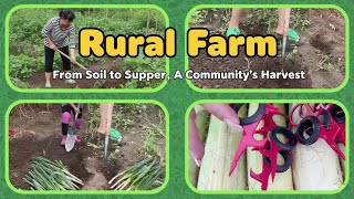 Farms create workshops for kids