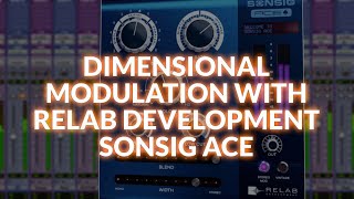 Relab Development Sonsig ACE - We Check Out Dimensional Modulation