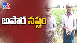 Heavy rains in Guntur district - TV9