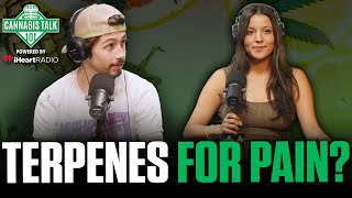 Terpenes Are As Effective As Morphine For Pain Relief I Cannabis Talk 101