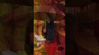 ANAUA NI - TONGAN LOVE SONG