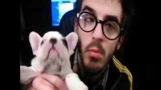 Melhores Momentos da Lola
