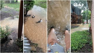 My backyard flooded