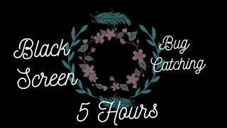 Black Screen | Bug Catching | 5 Hours