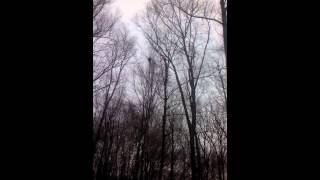 stroller stunt by 11 year pld awesomeness PART 2