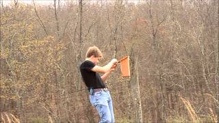 Checking the bluebirds and the camera