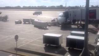 Gracie goes flying