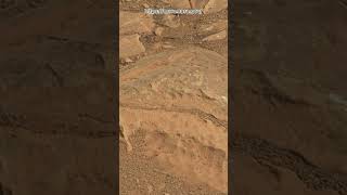 Mars Sol 1791: Internet Is Confused by This Photo #shorts