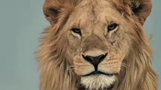 ilfaz Khan is live