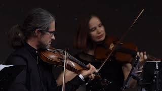 HotA: Cove Town Theme Live by Arcanum Vivum at GAMEDNI 2025