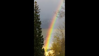 ABUNDANT LIFE  copyright James Bass 2021