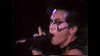 FRATVACKER -05-  MIMIZU (Live at Penny Lane 1984/07/29)