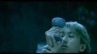 /\ucifer - CARNATION CRIME PV