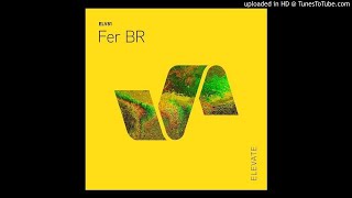 Fer BR - Acidized (Original Mix) [ELEVATE081]