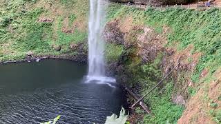 Silver Falls State Park: Looping around South Falls [August 5, 2025 10:23 AM]