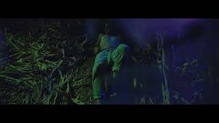 Vivel - Visitantes