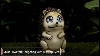 Solar Powered Hedgehog With Moving Eyes
