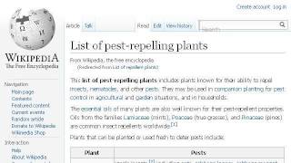 List Of Insects