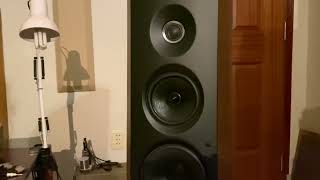 Sonus Faber speaker + EL84PP tubeamp