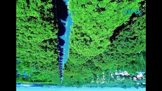 Time Stood Still - Stoik FPV Drone Freestyle