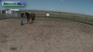 Andersen Acres - Hoof Handling