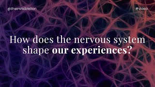 How Does the Nervous System Shape Our Experiences?