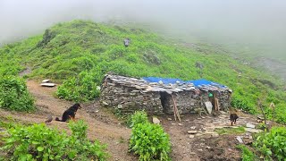  LifeNaturally Beautiful Mountain Village Life During the Rain | Most Peaceful And Relaxation Rural