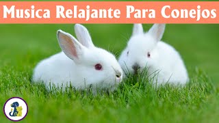 MÚSICA Relajante para CONEJOS 2023 🐰 Música para dormir profundamente y sanar mascotas