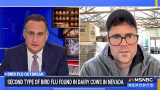 The Bird Flu Part II — What’s Next for Kakadoodle?