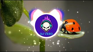 🎶Dement- NoCopyright 🎵 [DJ VERO Release]