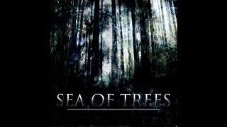 Sea of Trees - The Path (Sea of Trees) 2013
