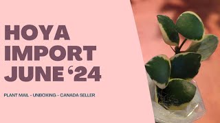 Hoya Import from Canada.